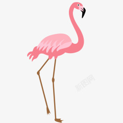 热带动物背景粉色火烈鸟卡通插画矢量图高清图片
