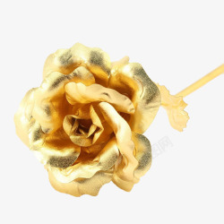 黄金花朵项链金箔玫瑰花高清图片