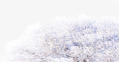 落满雪的树png免抠素材_新图网 https://ixintu.com 冬天 树 雪