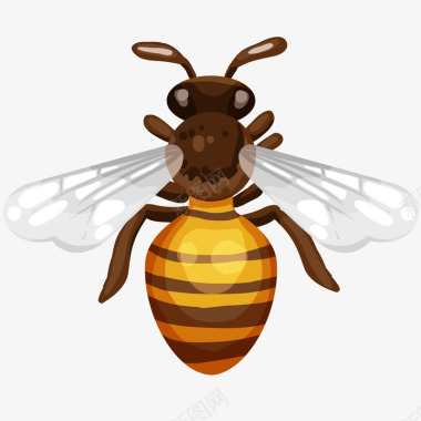 蜜蜂图标插画矢量图图标