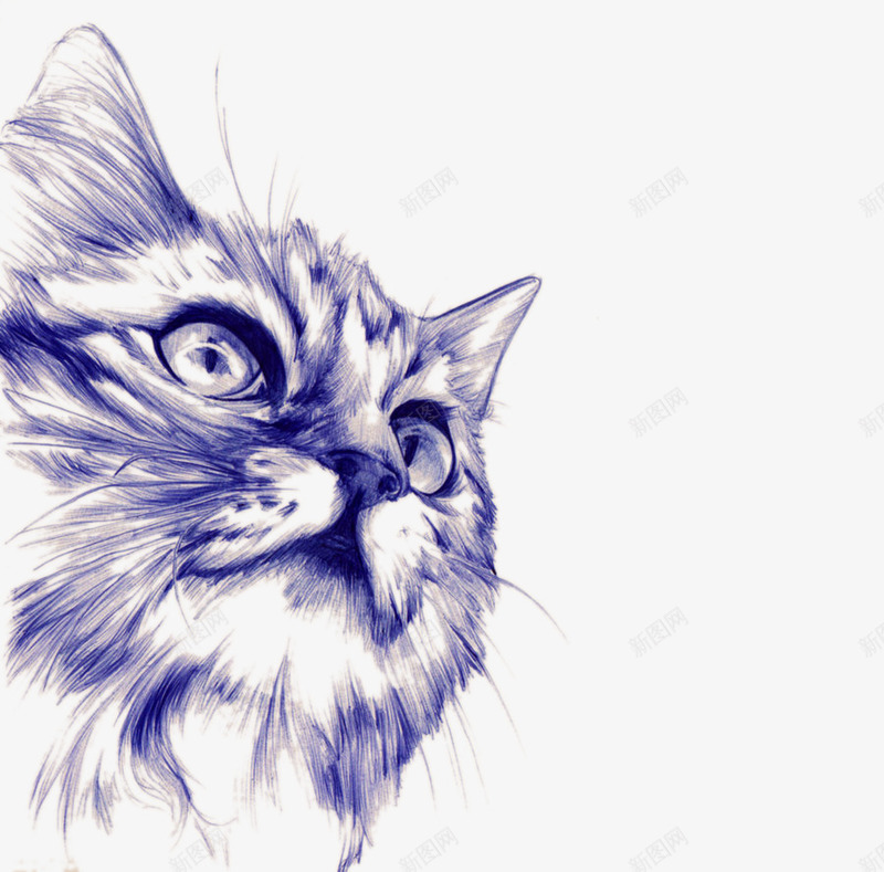 小猫的头部卡通png免抠素材_新图网 https://ixintu.com 动物 头部 宠物 猫 皮毛