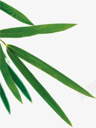 创意手绘合成绿色的竹子效果png免抠素材_新图网 https://ixintu.com 创意 合成 效果 竹子 绿色