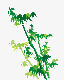 竹节竹字嫩绿的竹子高清图片