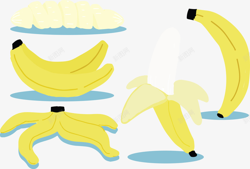 黄色香蕉矢量图eps免抠素材_新图网 https://ixintu.com 切片 水果 矢量PNG 颜色 香蕉皮 黄色香蕉 矢量图
