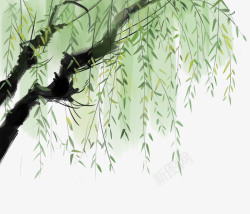 垂柳柳树中国画水墨插画夏日柳树垂柳高清图片