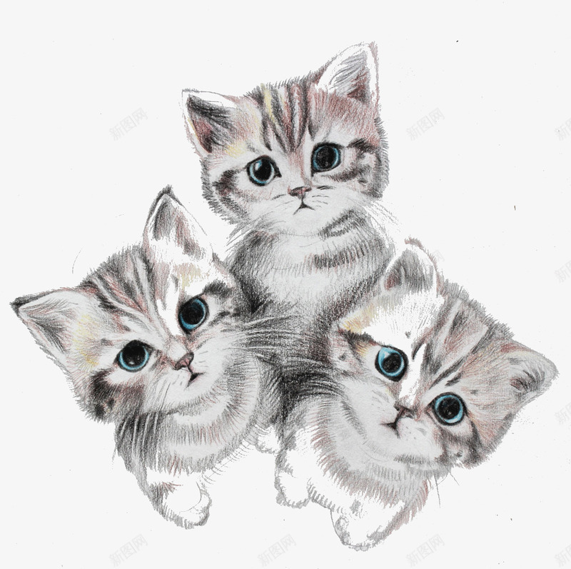 手绘可爱三只小猫咪png免抠素材_新图网 https://ixintu.com 三只小猫咪 可爱 手绘 猫咪
