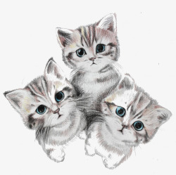 三只形态各异的小猫手绘可爱三只小猫咪高清图片