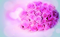 深粉色玫瑰花束海报背景七夕情人节素材