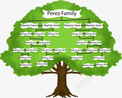 家庭结构茂盛的家庭树矢量图高清图片