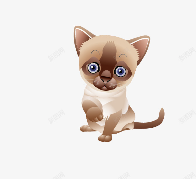 小灰猫png免抠素材_新图网 https://ixintu.com 动物 小猫 猫 猫咪 猫图片