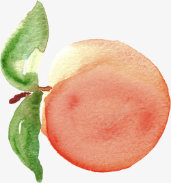 果实素材手绘水彩橘色水蜜桃高清图片