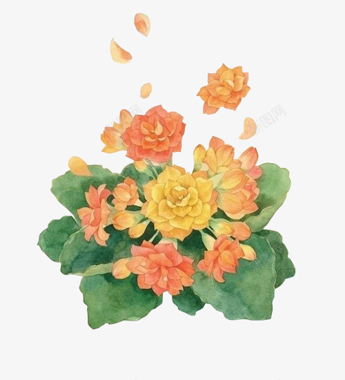 鲜花唯美花卉png免抠素材_新图网 https://ixintu.com 创意花卉图片 卡通鲜花 卡通鲜花图片 庆典花卉 抽象鲜花图片 鲜花海报 鲜花海报背景