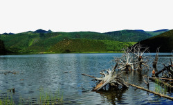 普达措森林公园风景图素材