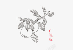 中医标志卡通手绘中草药高清图片