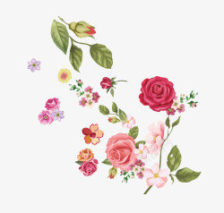 花朵大合集手绘水彩玫瑰花朵高清图片