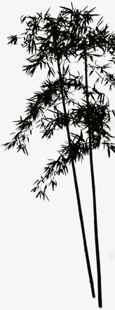 竹子树素材