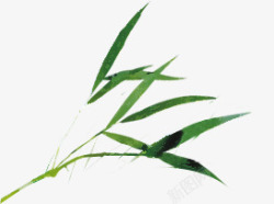 墨绿色竹叶水墨绿色竹子竹叶装饰高清图片