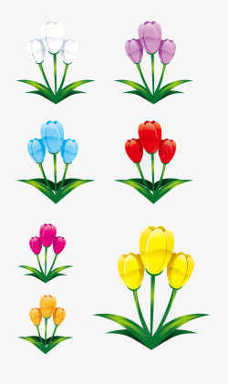 花朵花卉多种颜色素材