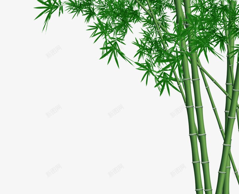 绿色的竹子png免抠素材_新图网 https://ixintu.com PNG素材 树叶 竹子 绿色