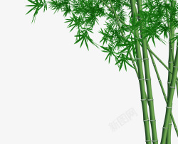 绿色的竹子素材