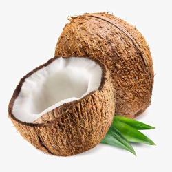 椰肉新鲜的椰子高清图片