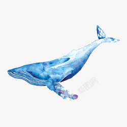 手绘水彩一只唯美的蓝色座头鲸插素材
