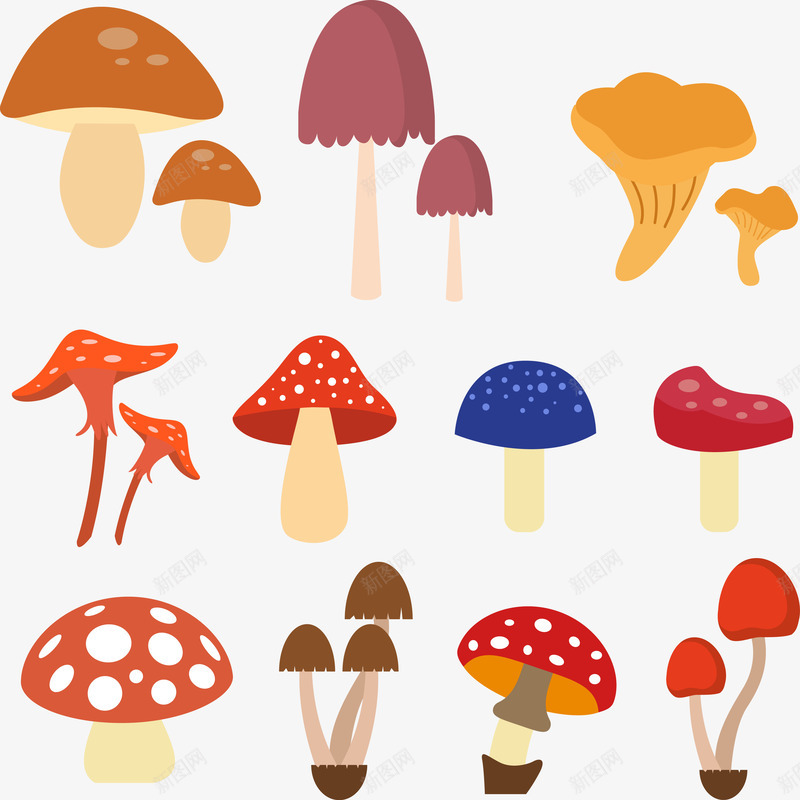 特色蘑菇png免抠素材_新图网 https://ixintu.com 创意 卡通 斑点 特色 矢量PNG 蘑菇 集合