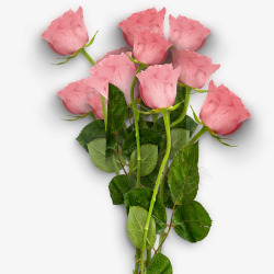 情人节装饰品爱在情人节粉色玫瑰花装饰高清图片