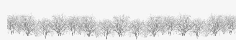 不规则树状装饰png免抠素材_新图网 https://ixintu.com 下雪 冬天 树枝 白色 白雪