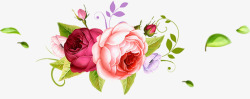 美丽的花朵粉色美丽花朵鲜花高清图片