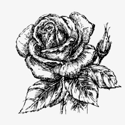 黑白简笔农耕背景手绘涂鸦玫瑰花植物图标高清图片