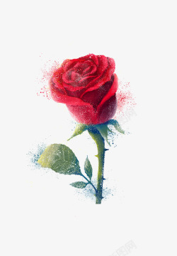 水彩玫瑰插画素材库手绘玫瑰花高清图片