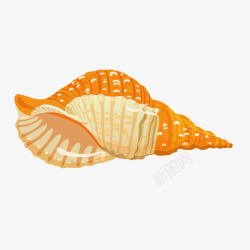 海螺海龟插画素材卡通装饰海洋生物海报海螺高清图片