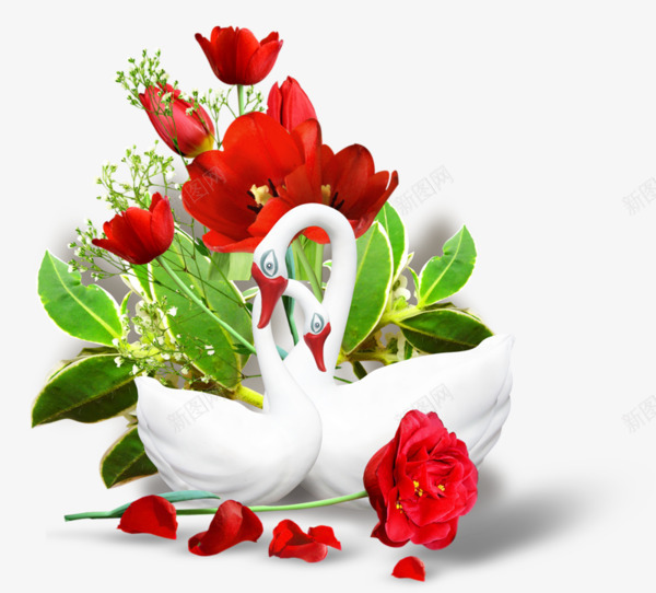 情人节玫瑰天鹅png免抠素材_新图网 https://ixintu.com 天鹅 植物 玫瑰 白色天鹅 红玫瑰
