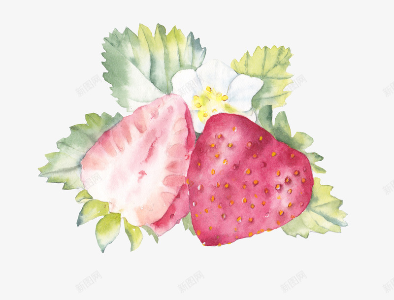 草莓png免抠素材_新图网 https://ixintu.com PNG 叶子 小清新 手绘 插画 水彩 猕猴桃 素材 草莓 装饰图案 设计 贴图 贴纸 食物