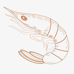 食物绘画手绘虾线图高清图片