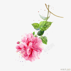 水彩化妆品宣传单手绘粉色鲜花高清图片