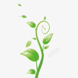 绿茶茶叶手绘插画绿色树叶藤蔓高清图片