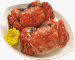螃蟹宴素材
