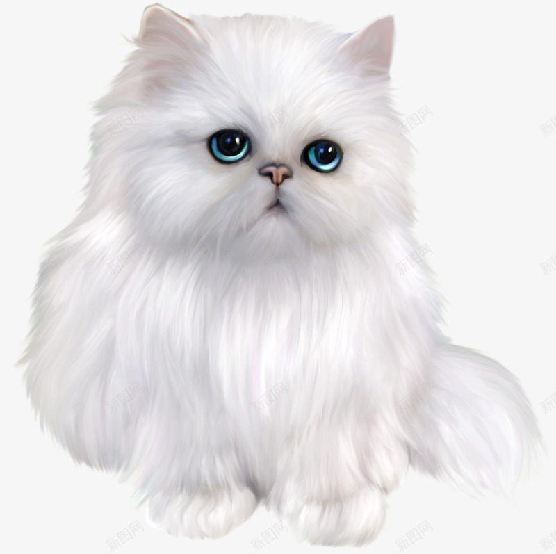 可爱小猫咪png免抠素材_新图网 https://ixintu.com 可爱 小猫咪 白色 美丽