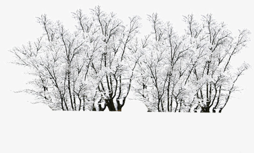 创意合成冬天白色的雪花树木png免抠素材_新图网 https://ixintu.com 冬天 创意 合成 树木 白色 雪花