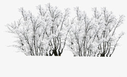 创意合成冬天白色的雪花树木素材