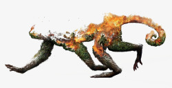 森林起火起火的豹子森林高清图片