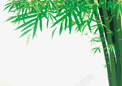 绿色杆子竹子高清图片