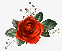 玫瑰花红色玫瑰花情人节装饰素材