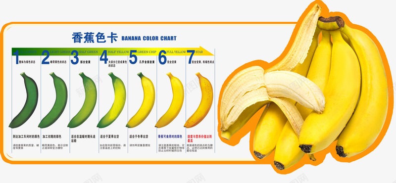 超市香蕉比色卡png免抠素材_新图网 https://ixintu.com 比色卡 水果 香蕉