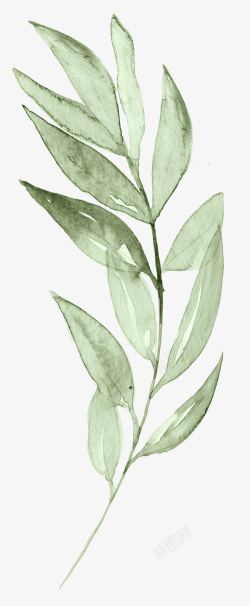 植物免费PNG文艺清新花草海报装饰绿色叶高清图片