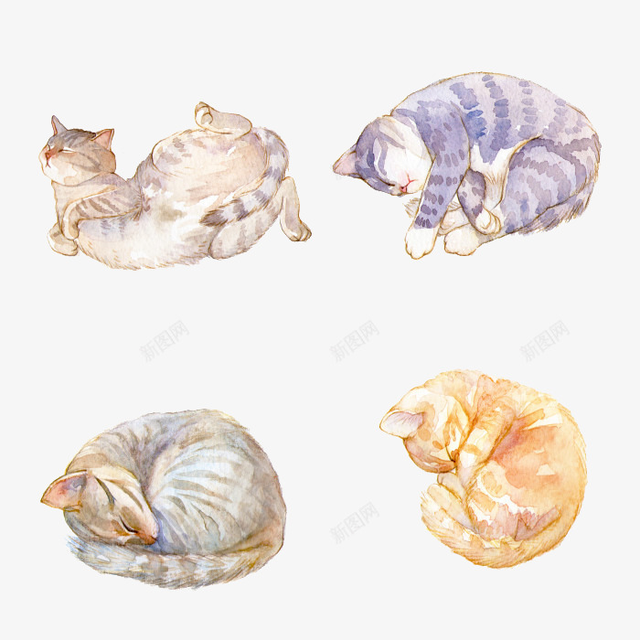手绘小猫png免抠素材_新图网 https://ixintu.com 小猫 手绘 手绘画 猫