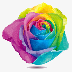 彩虹玫瑰花素材