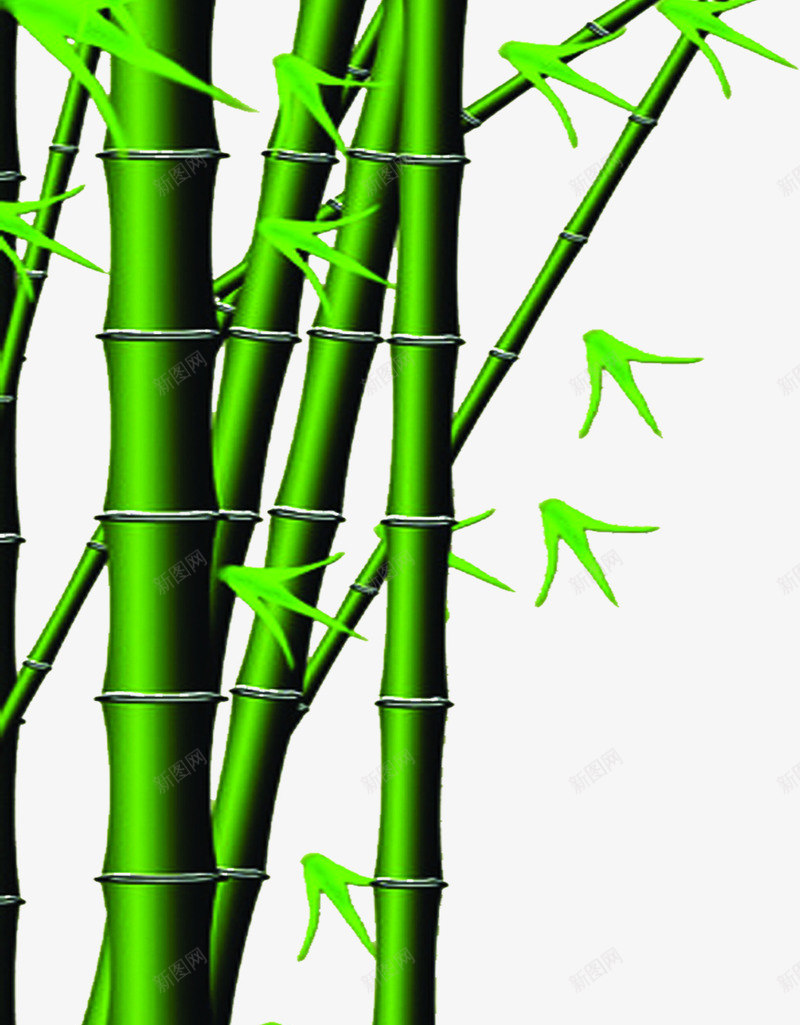 绿色的质感竹子手绘png免抠素材_新图网 https://ixintu.com 竹子 绿色 质感